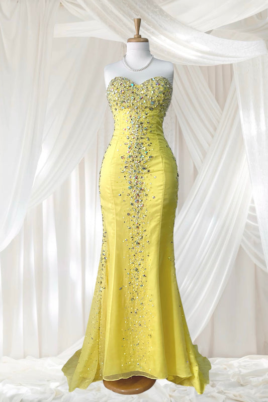 Mermaid style corset dress with exquisite hand embroidered rhinestones-size S